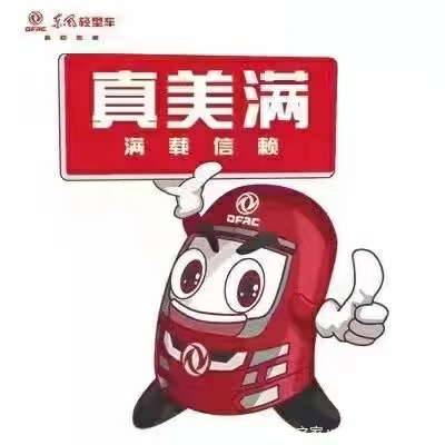 东风睿立达T7汽油版:强劲动力与全面安全的卓越结合(图5) 东风睿立达T7汽油版:强劲动力与全面安全的卓越结合(图5)